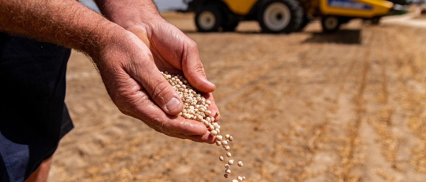 1400x600_Page banner wide_Agronomy_1